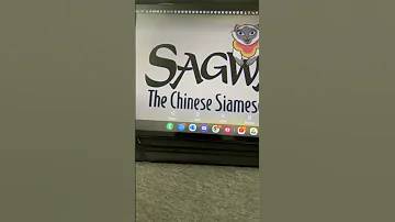 Sagwa The Chinese Siamese Cat Logo (2002)