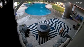 July 5, 2019 ridgecrest, ca earthquake shakes water from pool in
sherman oaks - nest camera footage