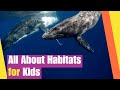 Real World Science: Habitats Quiz