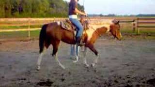 ruby at the lope