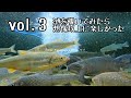 【水中映像切り抜き3】