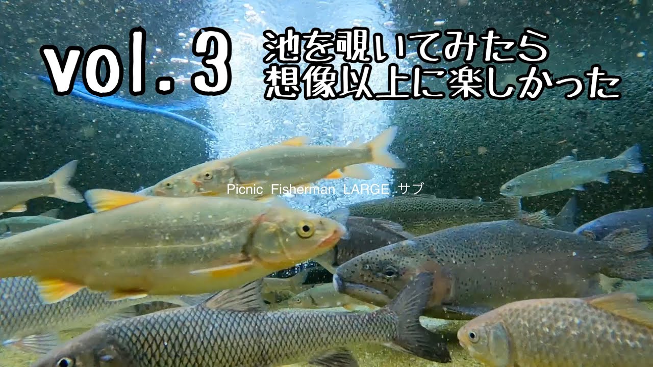 【水中映像切り抜き3】