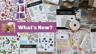 Unboxing Sneak Peek of the 2025-26 SU! Catalog!