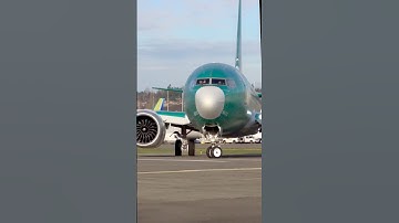 How Aircraft Get Painted #aircraft #aircraftpainting #boeing737 #southwest #painting #airplanes