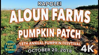 Pumpkin Patch at Aloun Farms 10/20/2018