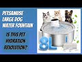 REVIEW (2025): Petsamuse Large Dog Water Fountain. Features