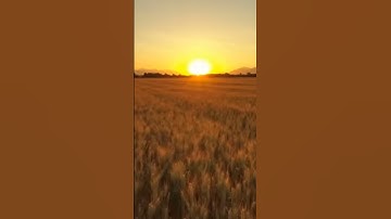 Thumbnail of peaceful music