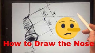 Drawing The Nose Draw in Procreate with Apple Pencil