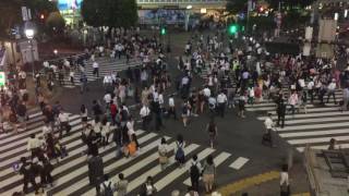 日本東京－澀谷人潮