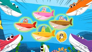 Baby Shark 🦈🦈 More Kids Songs And Nursery Rhymes 🦈🦈 Animal Song By Larva