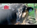 Farm Life 360º - Virginia Beef Cattle