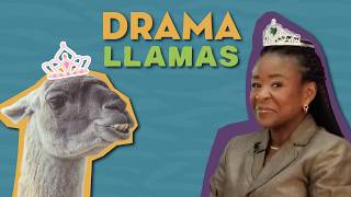 Drama Llamas, Exploding Ants &amp; Other Animal Divas | S1E2 · That's Wild Arkansas