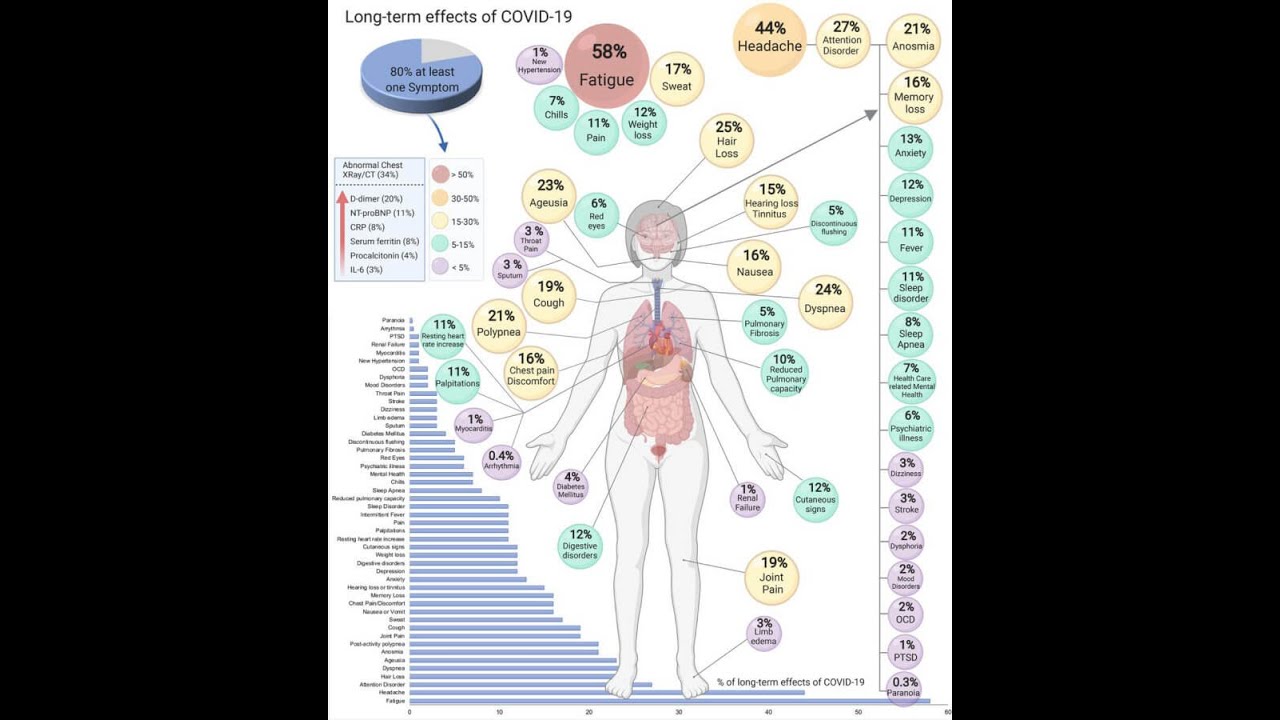 MECFS and Long Covid--Infection Associated Chronic Illness