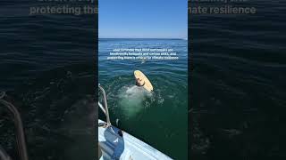 Surfers Are Marine Biologists Best Friends