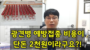 강아지 광견병 예방접종이 단돈 2000원?!