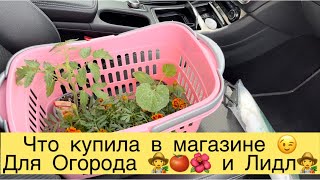 ЧТО КУПИЛА В МАГАЗИНЕ ДЛЯ ОГОРОДА 👩‍🌾🍅🌺и ЛИДЛ👩‍🌾