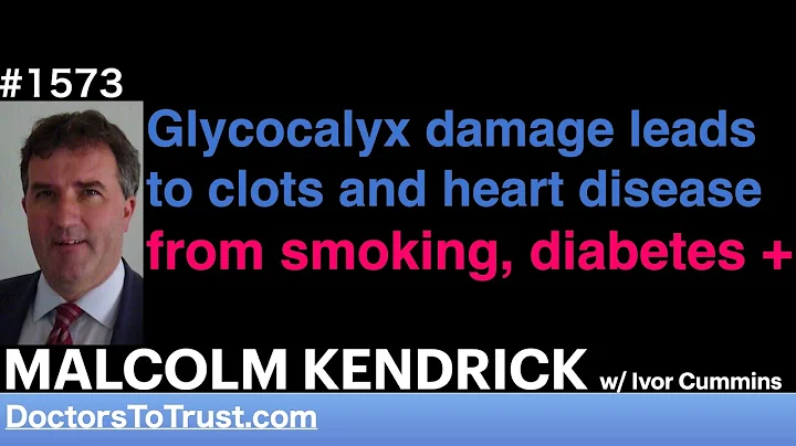 MALCOLM KENDRICK 10 | Glycocalyx damage leads to clots and heart disease from smoking, diabetes +