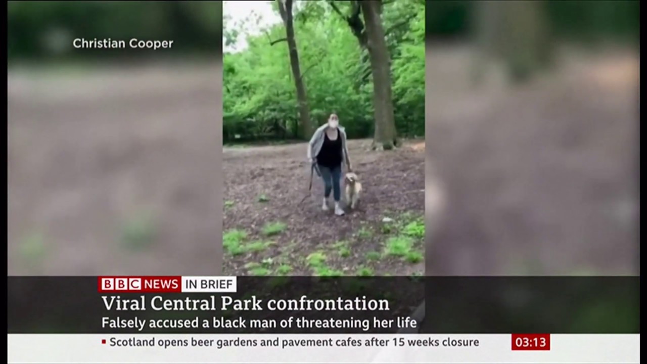 Black Lives Matter - Amy Cooper charged with filing false report (USA) - BBC News - 7th July 2020