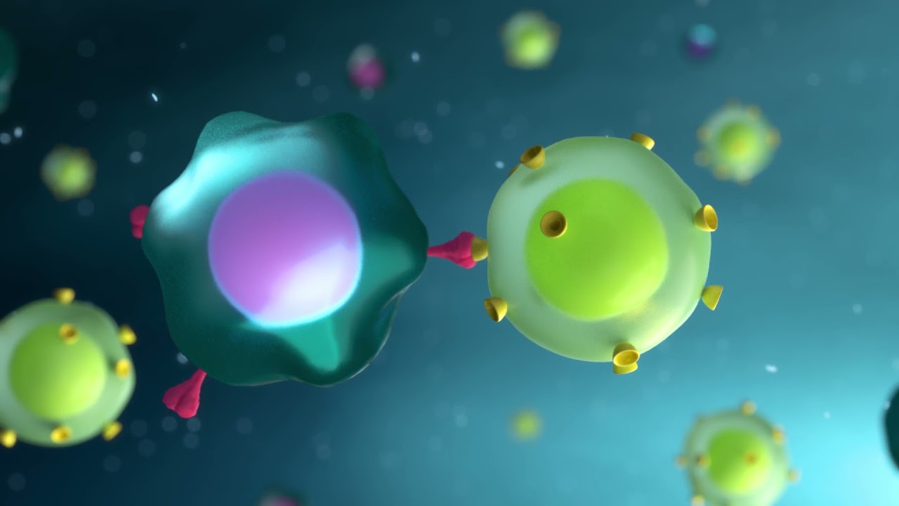 How do Covid-19 vaccines work? Animation