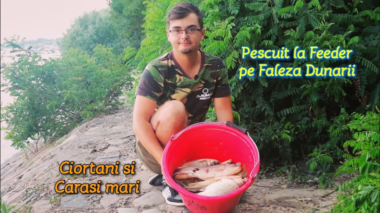 Pescuit la CIORTAN și CARAS cu tehnica FEEDER pe FALEZA DUNĂRII din GALAȚI