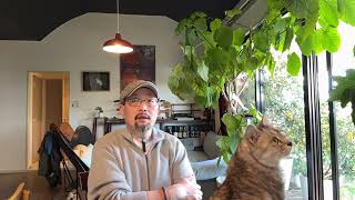 Download Lagu 日本政府做错了什么：就不该搭理中国这个颠倒黑白、信口雌黄的政府，不该解释任何事；恭喜范冰冰获得“金马奖”｜日本治安｜恶化｜崔永元｜ MP3