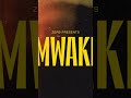 Zerb - Mwaki ft. Sofiya Nzau