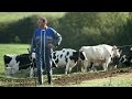 Европа: фермер - вымирающая профессия? - reporter