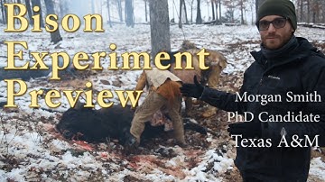 Preview for the upcoming Bison Experience Production.