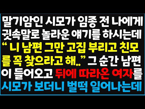 (신청사연) 말기암인 시모가 임종 전 나에게 귓속말로 놀라운 얘기를 하시는데 &quot; 니 남편 그만 고집 부리고 친모를 꼭 찾으라고 해..&quot; 그 순간 [신청사연][사이다썰][사연라디오]
