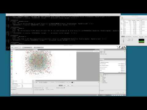 Realtime Twitter Visualising by Gephi Streaming