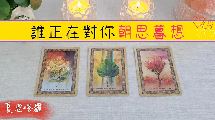 🔮【月老指引】谁正在对你朝思暮想？💕月老为你深入剖析他的详细讯息💕目的💕动机💕以及月老给你的建议💕|塔罗占卜|恋爱|感情|脱单|下一任 - 天天要闻