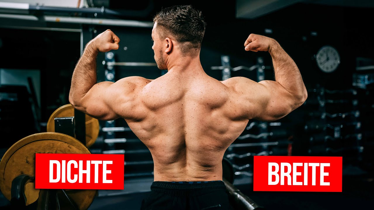 Komplettes RÜCKEN TRAINING zum Nachtrainieren