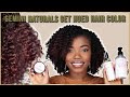 I Colored My Hair, AGAIN! | Gemini Naturals Temporary Color Gel + Flat Twist Out | SoDazzling