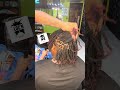 Small Starter locs 2 strand method  #kansascity #locN #locnation #starterlocs #trusttheprocess