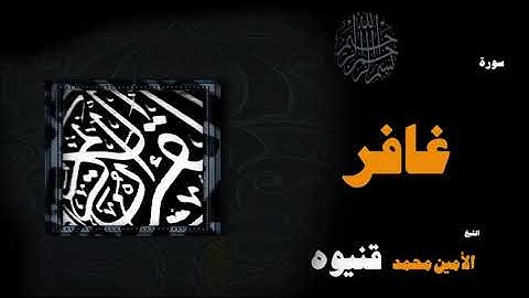 القران الكريم بصوت الشيخ الامين محمد قنيوة | سورة غافر