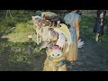 [MHWilds]4月4日改版-泡狐龍-白熾龍