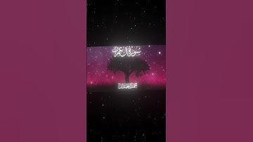 سورة آل عمران|16-17|القارئ:#محمد_اللحيدان #قران #quran  #قران_كريم #تلاوة #تلاوة_هادئة #تلاوة_خاشعة