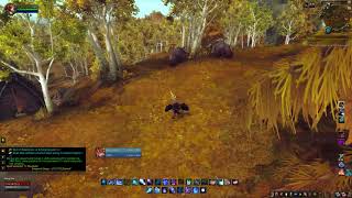 World of Warcraft stormheim quest line TO HAUSTVALD World of Warcraft stormheim quest line TO HAUSTVALD