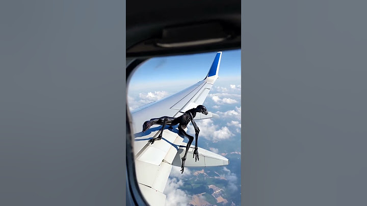 What’s that on the wing?😱 #bizarre #mystery #shorts