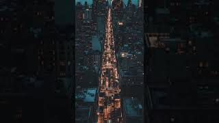 #DreamTrackAI A squirrel's epic acorn journey