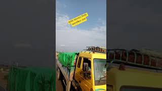 সূর্যের আলোতে কৃষকের হাসি ফুটে উঠেছে #shortvideo #shorts #short