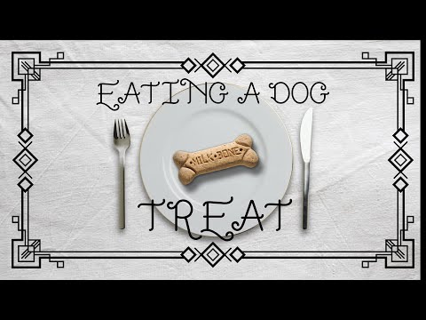Eating a dog treat - music by Alexander ragtime band
