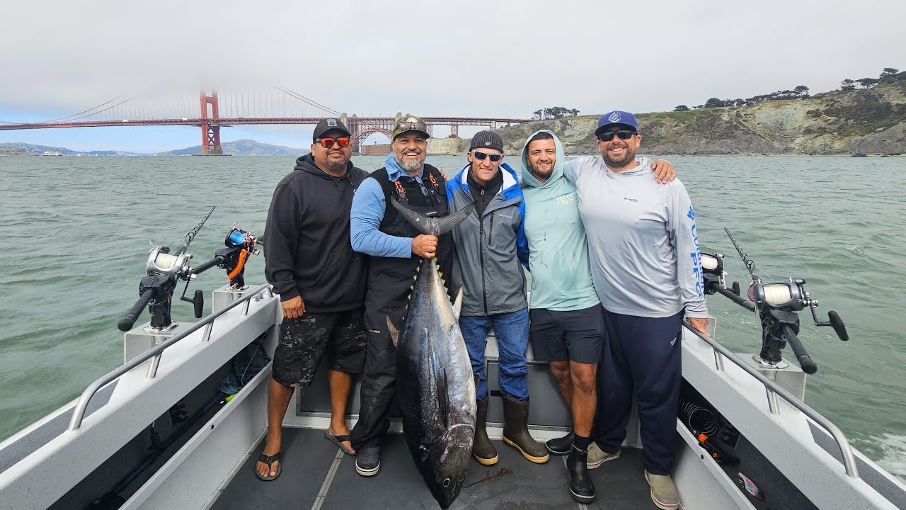 Ловля голубого тунца в районе залива Сан-Франциско и используемые снасти