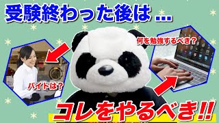 【コレやるべき!!】オススメバイト＆勉強を紹介