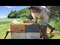 Tips to a big honey crop
