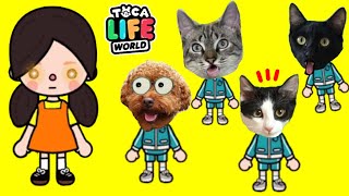 ¿Quien gana el juego del calamar gato o perro? pero en toca boca life world con Luna y Estrella by Mis gatitos bebés Luna y Estrella 173,044 views 4 months ago 17 minutes