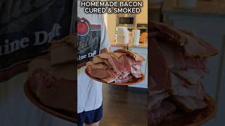 HOMEMADE BACON CURED & SMOKED | RECTEQ DECK BOSS 800 WOOD PELLET WIFI GRILL AND SMOKER