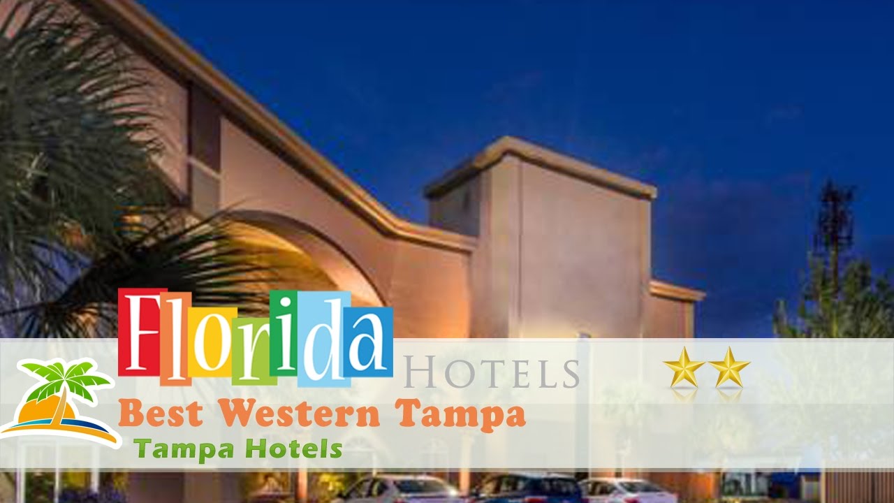 Best Western Tampa Tampa Hotels, Florida YouTube
