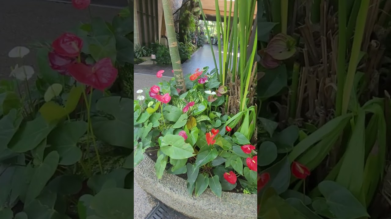 Calgary Zoo Has Beautiful Indoor Gardens 👍 Enjoying With My Daughter ❤️(4)