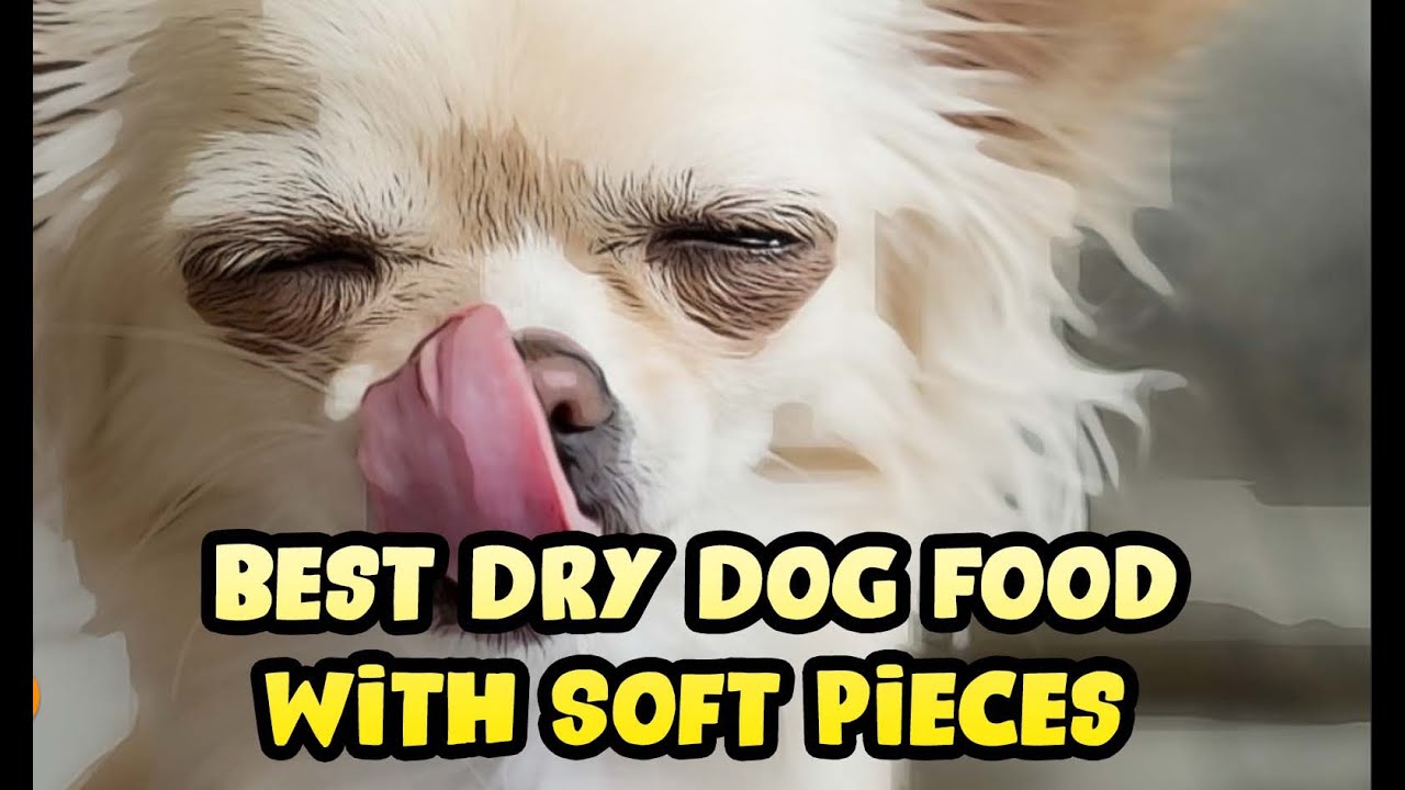Dry Dog Food With Soft Pieces  